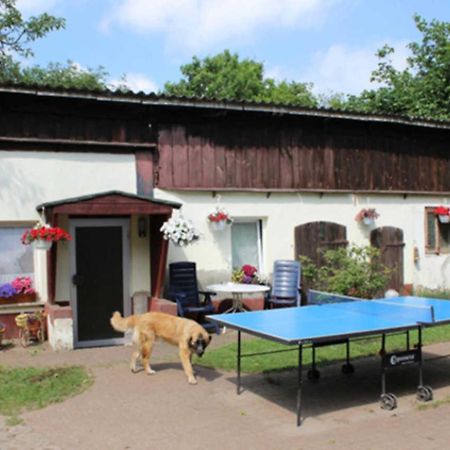 Heidi Zinnowitz Exterior foto