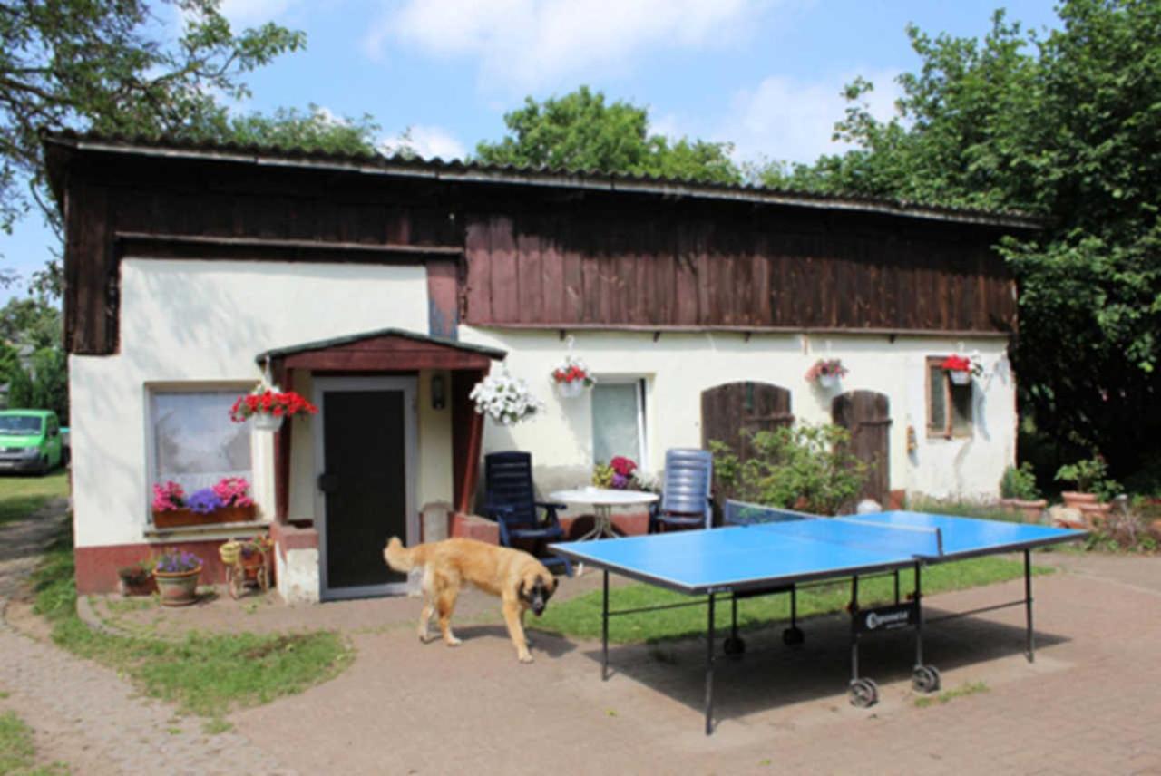 Heidi Zinnowitz Exterior foto